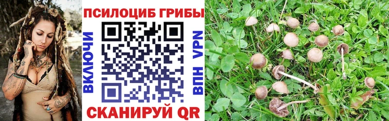Галлюциногенные грибы мухоморы KRAKEN маркетплейс Кушва купить наркотик
