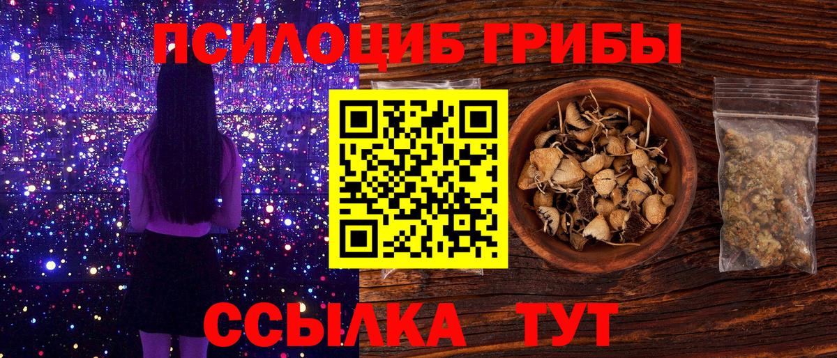 Галлюциногенные грибы Cubensis  Вход с VPN  Галлюциногенные грибы Psilocybine cubensis  Кушва 